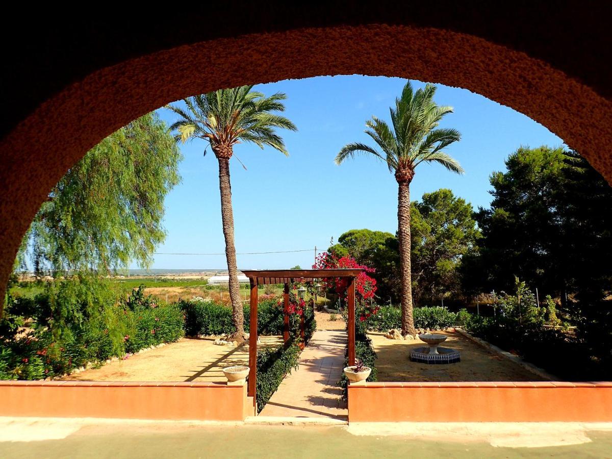 Villa Buganvilla Elche Exterior photo