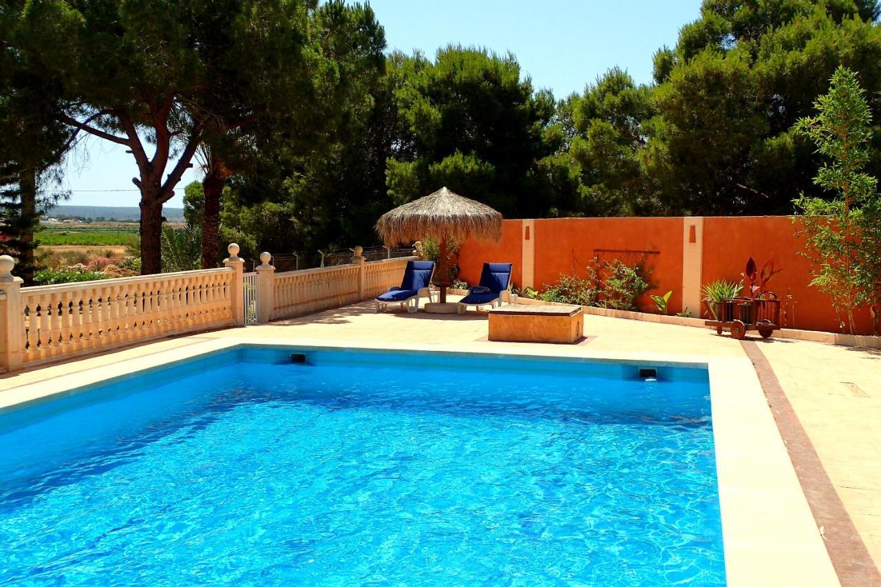 Villa Buganvilla Elche Exterior photo
